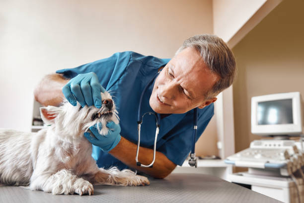 Best Emergency Tooth Extraction in Panaca, NV