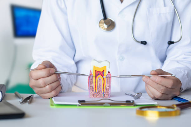 Best Emergency Dental Care for Broken or Chipped Teeth in Panaca, NV